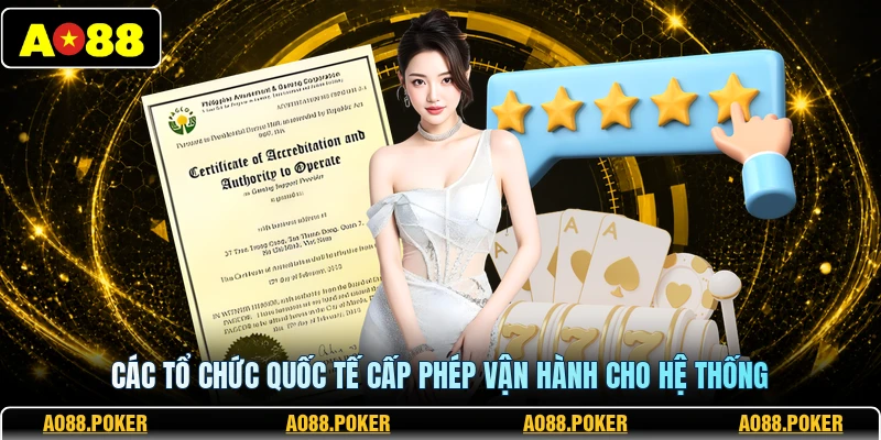 Các tổ chức quốc tế cấp phép vận hành cho hệ thống