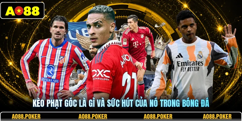 Kèo phạt góc là gì và sức hút của nó trong bóng đá